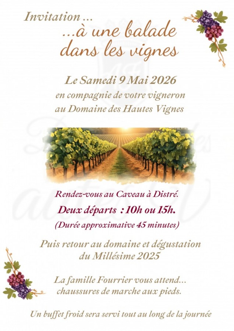 Balade dans les Vignes 9 Mai